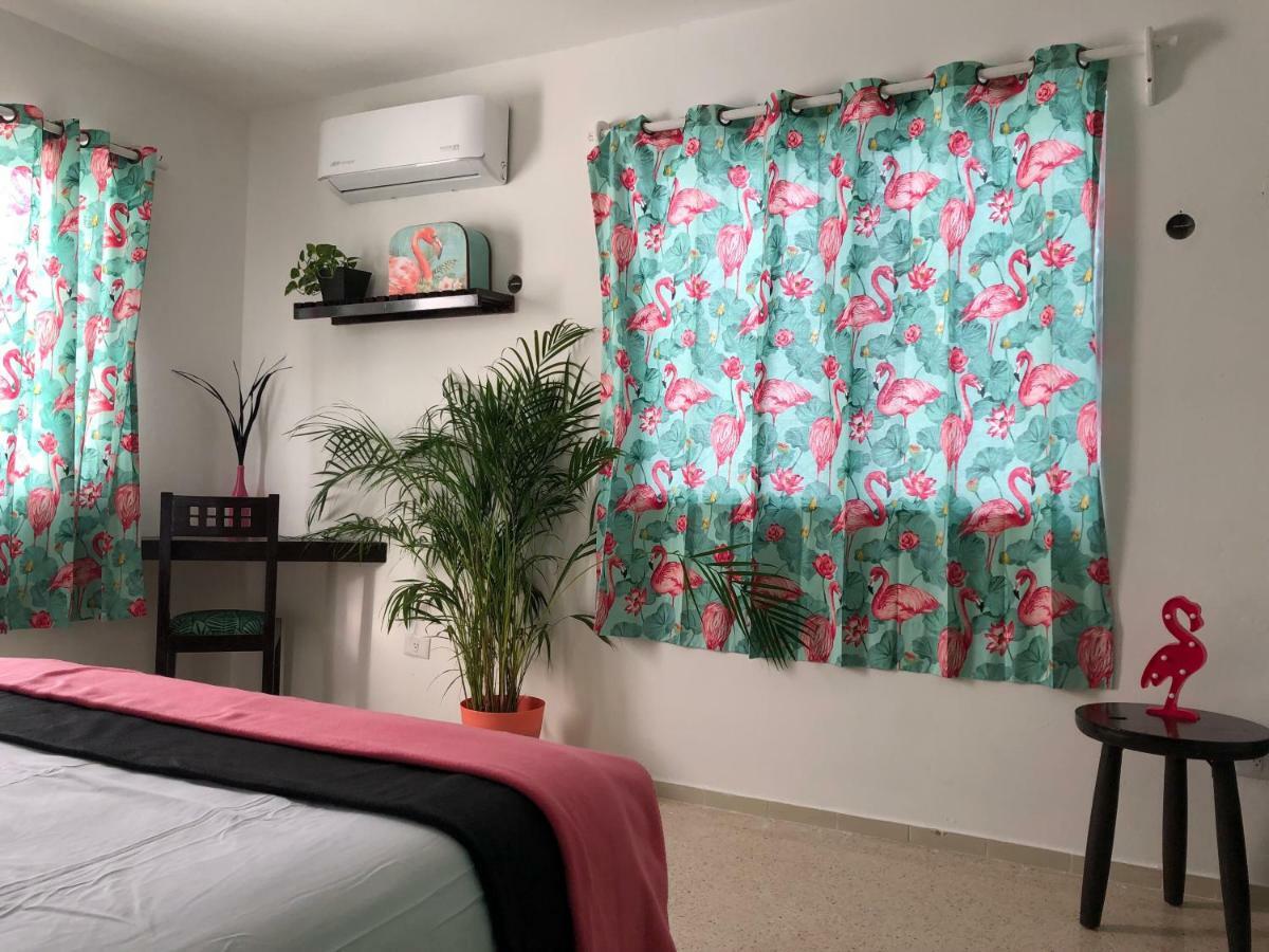 Отель Casa Tropical Канкун Экстерьер фото