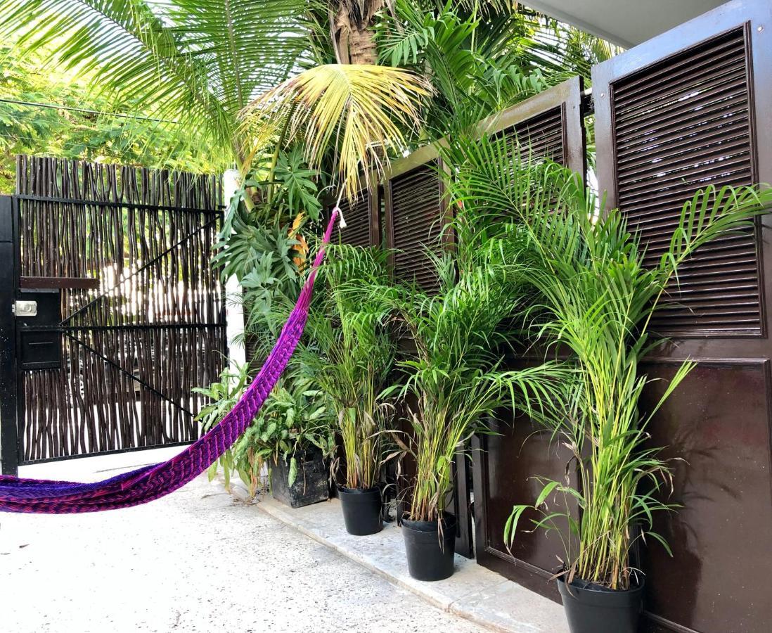 Отель Casa Tropical Канкун Экстерьер фото